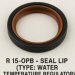 water-temparature-regulator.jpeg